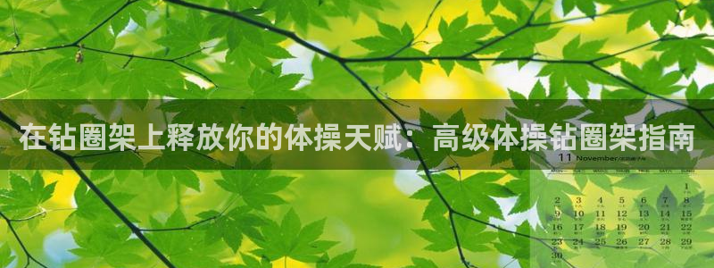 耀世娱乐丁6.7.5.1.3.8：在钻圈架上释放你的