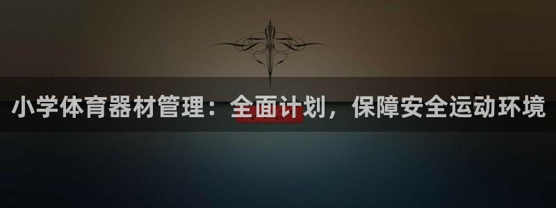 耀世登场一样的词：小学体育器材管理：全面计划，保障安