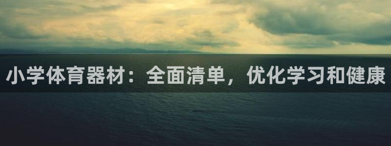 耀世娱乐客服：小学体育器材：全面清单，优化学习和健康