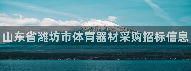 耀世平台日7O777：山东省潍坊市体育器材采购招标信