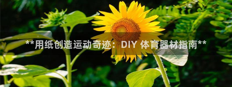 耀世娱乐安全吗知乎：**用纸创造运动奇迹：DIY 体