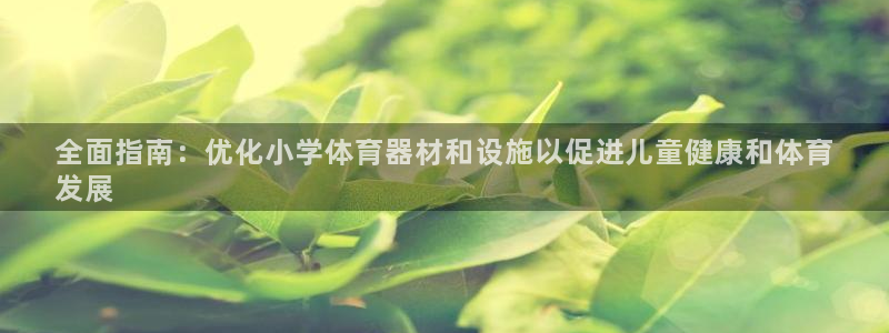 耀世是什么意思：全面指南：优化小学体育器材和设施以促