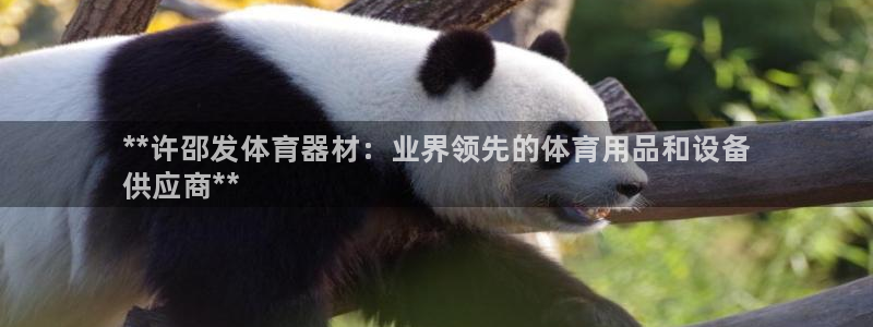 耀世平台注册步骤图片:**许邵发体育器材:业界领先的体育用品