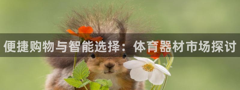 耀世娱乐提款怎么取消:便捷购物与智能选择:体育器材市场探讨